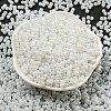 Glass Seed Beads SEED-K009-02B-24-2