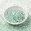 MIYUKI Round Rocailles Beads SEED-G008-RR3642-2