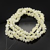 Natural Shell Beads Strands SHZ001-3