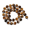 Natural Tiger Eye Beads Strands G-B049-F03-02-3