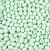 Baking Paint Glass Seed Beads SEED-N007-29I-3