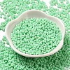 Glass Frosted Seed Beads SEED-K009-05B-05-2