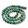 Natural Peruvian Turquoise(Jasper) Beads Strands G-A219-A05-04-2