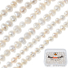 2 Strands Grade B Natural Cultured Freshwater Pearl Beads Strands PEAR-BBC0001-06-1