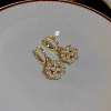 Alloy Rhinestone Hoop Earrings FS-WG20219-01-2