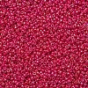 MIYUKI Round Rocailles Beads SEED-JP0008-RR0476-2