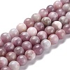 Natural Plum Blossom Tourmaline Beads Strands G-O198-02A-1