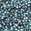 Transparent Inside Colours Glass Seed Beads SEED-T007-19A-06-2