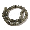 Natural Labradorite Beads Strands G-G102-C06-01-3