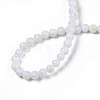 Natural Freshwater Shell Beads Strands X-SHEL-N003-24-A01-4