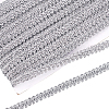 Sparkle Metallic Polyester Braided Lace Trim OCOR-WH0060-46D-1