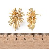 Brass Stud Earrings EJEW-S249-02G-5