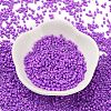 Baking Paint Glass Seed Beads SEED-S042-05B-72-2