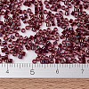 MIYUKI Delica Beads LS-SEED-J020-DB1751-3