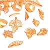 Transparent Acrylic Pendants AC-CBAE38D-02C-2
