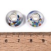 Handmade Lampwork & Brass Core European Beads LAMP-N044-09S-01-4