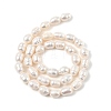 Natural Cultured Freshwater Pearl Beads Strands PEAR-I007-01D-04A-3