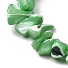 Natural Trochid Shell/Trochus Shell Beads Strands SHEL-B003-02D-3