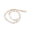 Electroplated Natural Freshwater Shell Beads Strands SHEL-K001-002-2