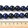 Natural Tiger Eye Bead Strands LS-G-P230-08-B-14mm-2