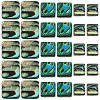 30Pcs 3 Styles Natural Paua Shell Beads BSHE-TA0001-37-2