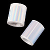 2 Rolls 2 Styles Vinyl Plastic Printable Holographic Stickers OFST-TA0001-11B-3