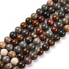 Natural Picture Jasper Beads Strands G-H037-A01-04-1