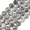 Natural Map Stone Beads Strands G-K389-B84-01-2