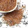MIYUKI Delica Beads SEED-J020-DB0987-1