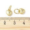 Alloy Pendants FIND-B046-03A-G-3