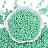 Baking Paint Glass Seed Beads X1-SEED-K010-A07-3