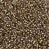 MIYUKI Delica Beads X-SEED-J020-DB2396-3