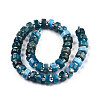 Natural Apatite Beads Strands G-N327-07D-2