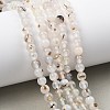 Natural Dendritic Agate Beads Strands G-D0005-18-6mm-8