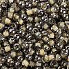 Glass Seed Beads SEED-A032-06V-3