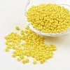Opaque Glass Seed Beads SEED-R032-A13-1