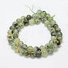 Natural Prehnite Beads Strands LS-G-P322-48-8mm-3