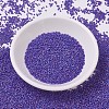 MIYUKI Delica Beads X-SEED-J020-DB0880-2