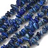 Natural Lapis Lazuli Chip Beads Strands X-G-E271-121-1