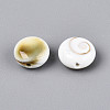 Natural Shiva Eye Shell Beads BSHE-T014-33A-2