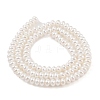 Electroplated Shell Pearl Beads Strands BSHE-C006-04A-2