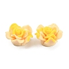 Smudged Color Frosted Resin Cabochons RESI-TAC0018-13F-1