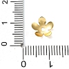 Brass Bead Caps KK-C260-10G-2