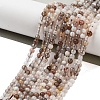 Natural Botswana Agate Beads Strands X-G-G143-A02-01-2