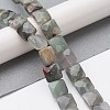 Natural African Bloodstone Beads Strands G-K359-B16-01-2