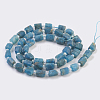 Natural Apatite Beads Strands G-F568-015-2