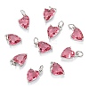 Brass Cubic Zirconia Charms ZIRC-G170-01P-1