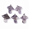 Natural Amethyst Pendants LS-G-R480-02B-1