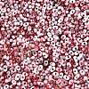 Baking Paint Glass Seed Beads SEED-C003-01M-2