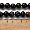 Dyed Natural Blue Tiger Iron Beads Strands G-G286-A02-12mm-5